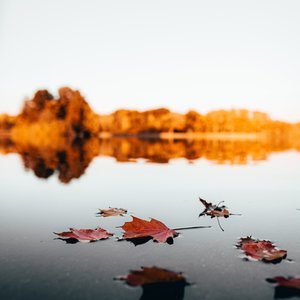 Manitoba