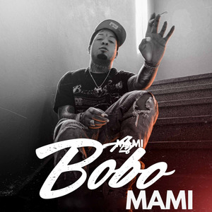 Ay Bobo Mami