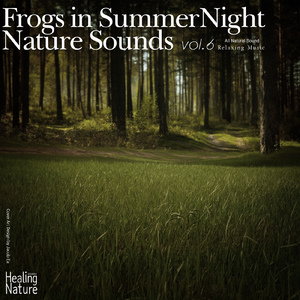 숲 속에서 들리는 경이로운 자연의 소리 8