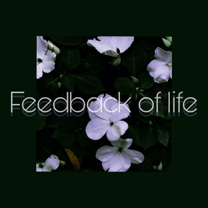 生命反馈