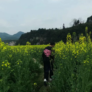 她最常说的一句话就是唉