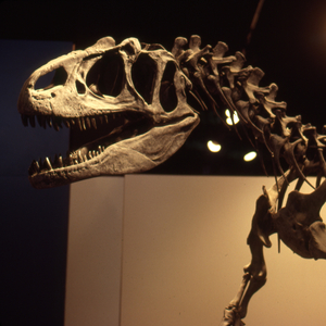 Boisterous (Piano Only)