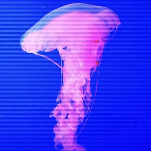 loveisloveisloveislove