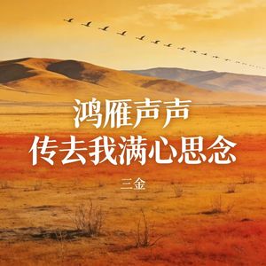 鸿雁声声传去我满心思念_伴奏