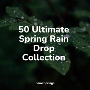 Rain, Drain, Cement, Lawn