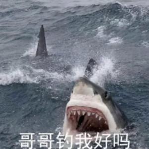 冤种浓度百分百Prod.Xouns