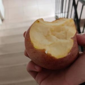 防腐剂