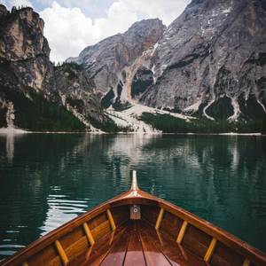 Do You Know Where the Reindeer Go?