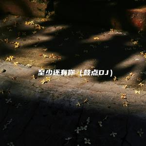 至少还有你 (鼓点DJ)