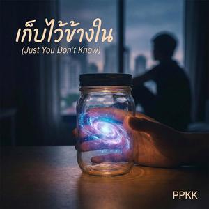 เก็บไว้ข้างใน (Just You Don’t Know)