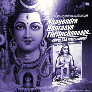 Naagendra Haaraaya Thrilochanaaya (Surbahar Instrumental)