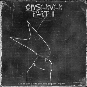 Observer, Pt. II