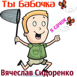 Ты бабочка я сачок