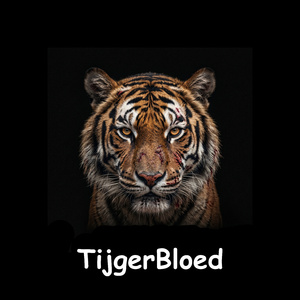 Tijgerbloed