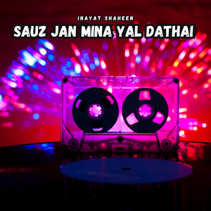 Rezeen Sharthee Doori E Ghamana