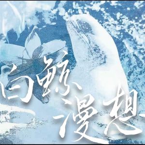 白鲸漫想