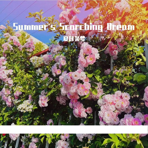 夏日炙梦