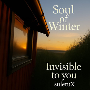 Soul of Winter Invisible to you