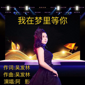 我在梦里等你