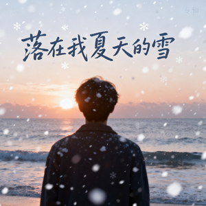 落在我夏天的雪