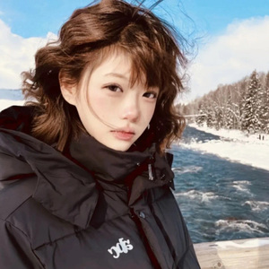 54778f59c55145738a6838c780e93f27-1734172428172