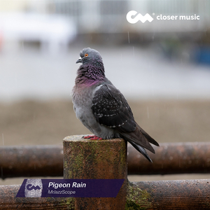 Pigeon Rain (Instrumental)