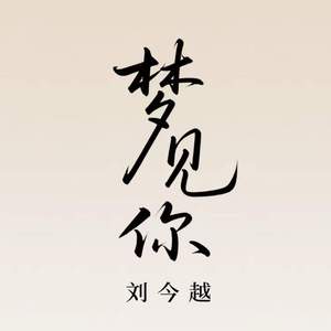 梦见你