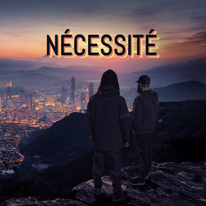 NECESSITE