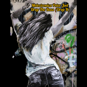 Drop the Bass (Drop It)