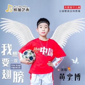 我想要一双翅膀