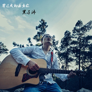 《老同学》杨宇指弹版