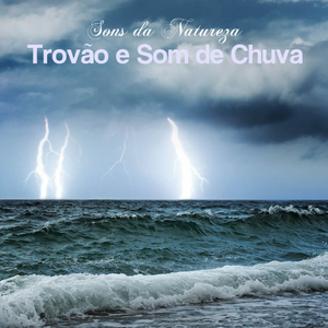 Chopin, Preludes Op. 28 No. 4