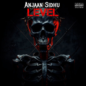 Level