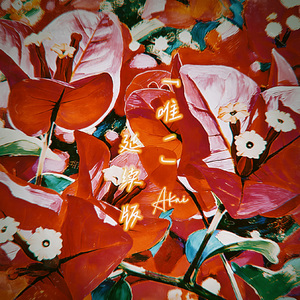 Akai-唯一（延续版）（Akai remix）