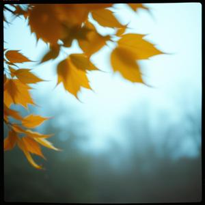 괜찮다는 말이 어렵더라