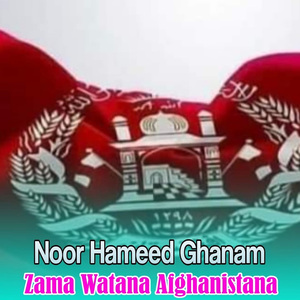 Zaliman Di Zaliman