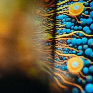 Tomorrow (Extended Mix)