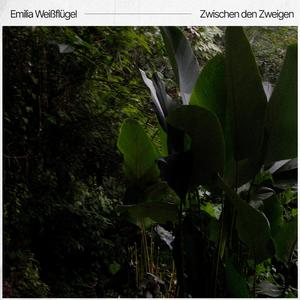 Zwischen den Zweigen