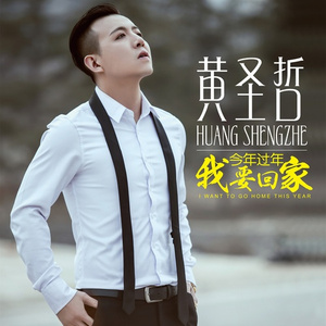 今年过年我要回家