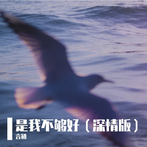 是我不够好（深情版）