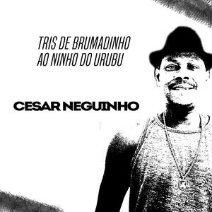 Da Tristeza a Alegria Paraty Canta chapecó