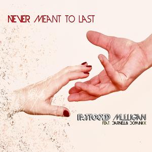 Never Meant to Last (feat. Darnell & Dominick)