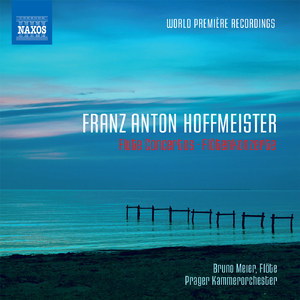 Flute Concerto No. 21 in D Major: II. Romanza: Adagio