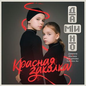 Красная заколка