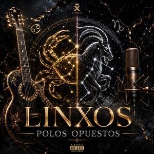 Polos Opuestos