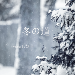 冬の道