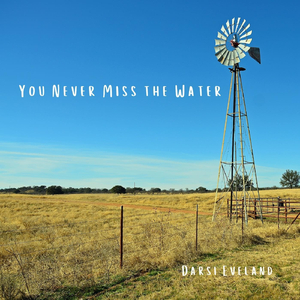 You Never Miss the Water