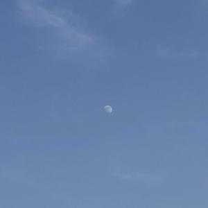 yfgod-see me winnin（PurPle remix）