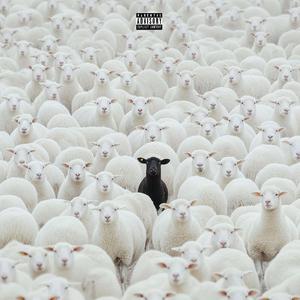 GET FVCKED REMIXX