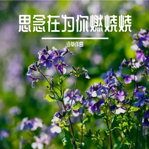 思念在为你燃烧